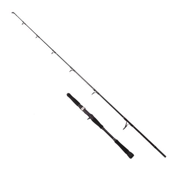 2011 ALBASTAR NOVUS ( S ) TEKNE BOT KAMIŞI 100-300GR 165CM - 1