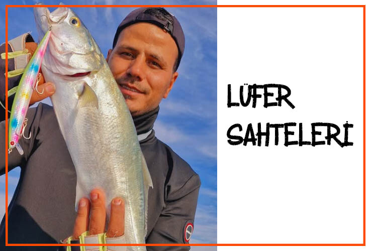 Lüfer Sahteleri