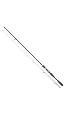Daiwa New Legalis Seabass 240cm 10-35gr Olta Kamışı - 1
