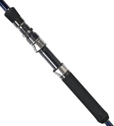 Fujin Madcast 290cm 20-80gr Shore Jig Kamışı - 3