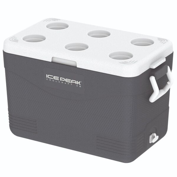 IcePeak CoolCraft 46 Buzluk 41.6 Litre, Renk:Füme, - 2