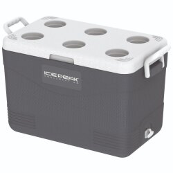 IcePeak CoolCraft 46 Buzluk 41.6 Litre, Renk:Füme, - 4