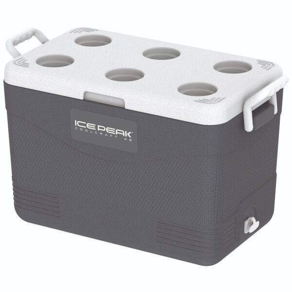 IcePeak CoolCraft 46 Buzluk 41.6 Litre, Renk:Füme, - 4