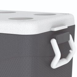 IcePeak CoolCraft 46 Buzluk 41.6 Litre, Renk:Füme, - 8