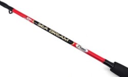 KENDO SEA BREAM 1.65 UP TO 150GR 2 PARÇA BOT/TEKNE KAMIŞI - 3