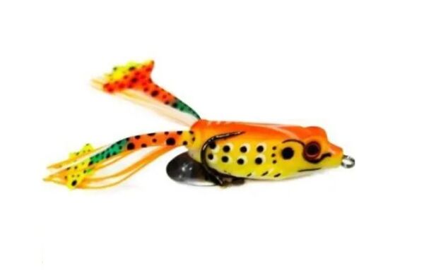 KURBAGA 1 TURUNCU - FROG 1 - 1
