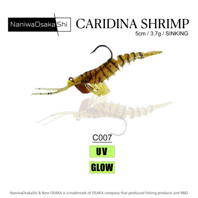 NANIWAOSAKASHI CARIDINA SHRIMP 5CM 3.5GR C007 - 1
