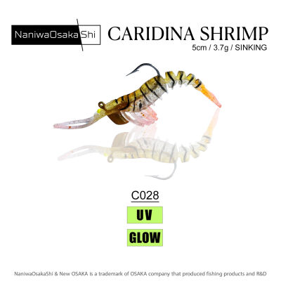 NANIWAOSAKASHI CARIDINA SHRIMP 5CM 3.5GR C028 - 1