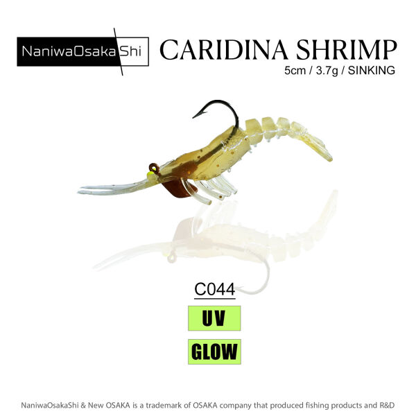 NANIWAOSAKASHI CARIDINA SHRIMP 5CM 3.5GR C044 - 1