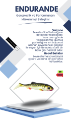 NANIWAOSAKASHI ENDURANDE SHAD 70MM C050 SİLİKON YEM - 3