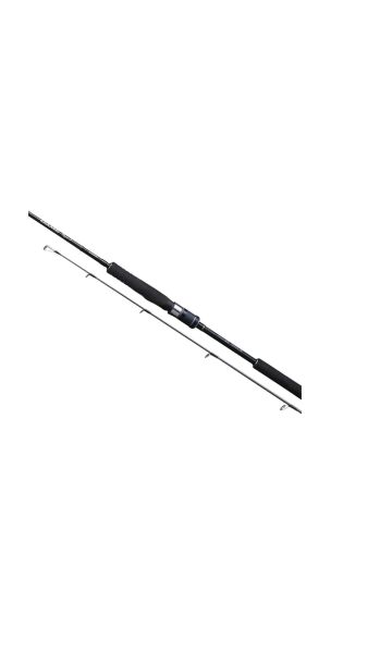 Shimano 20Game Type Jigging Spin 1,88m 62
