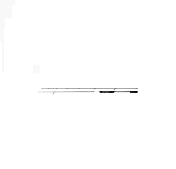 Shimano Bassterra XT+ Spin Sea Bass 2,44m 80