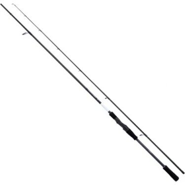 Shimano Bassterra XT+ Spin Sea Bass 2,44m 80