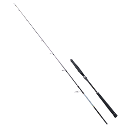 RYUJI SEAWOLF PLUS FUJI 1.98M 30-150GR 2P JIG KAMIŞ - RYUJI